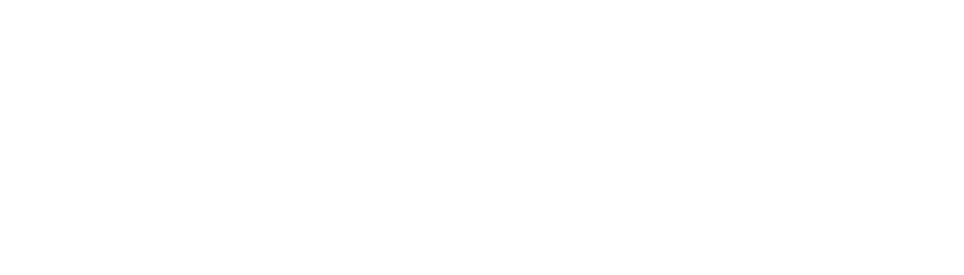 Sorin AI